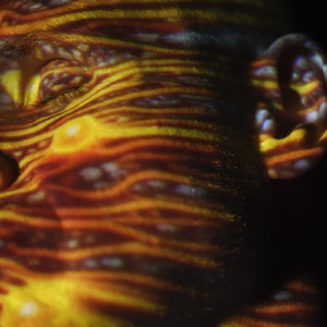 诱奸漂亮白嫩美女网址
